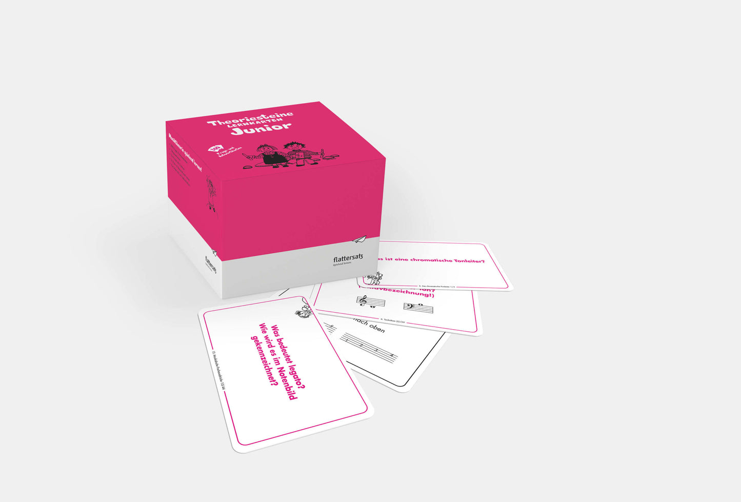 Theoriesteine Junior Lernkarten