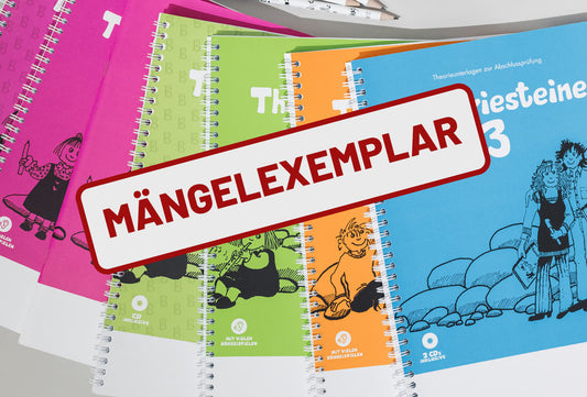 Theoriesteine Übungsbuch - Mängelexemplar