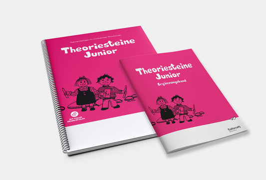 Theoriesteine Junior Paket